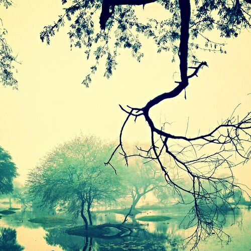 Nature art