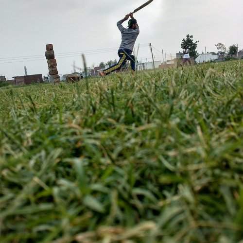 Cricket shot