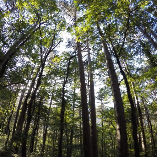 Photo #1848808