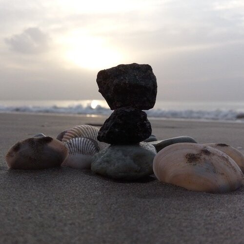 Shells