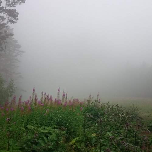 Photo #1850592