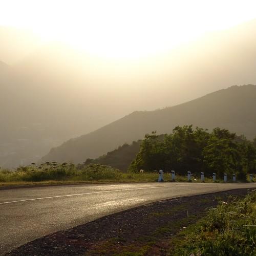 Photo #1850877