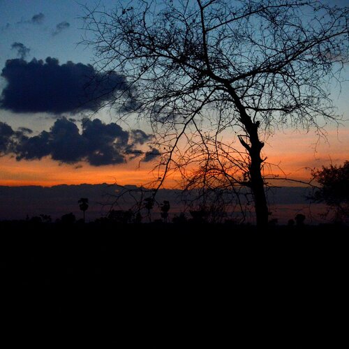The Romantic Nature