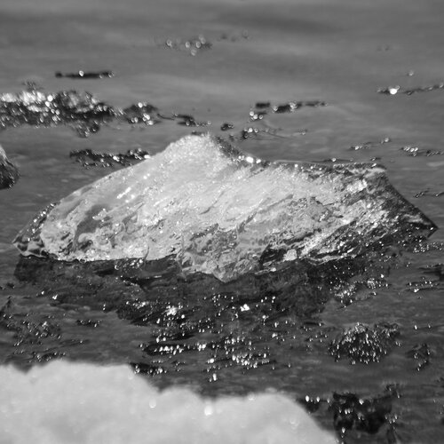 Photo #1851806