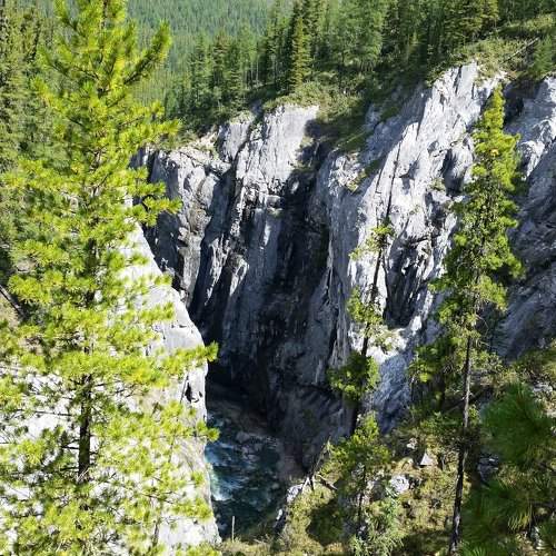 Photo #1851834