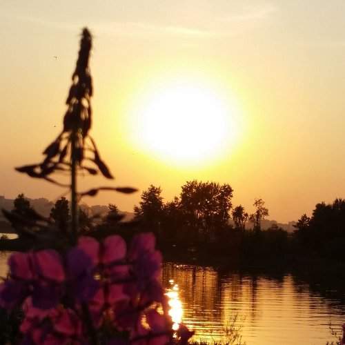 Photo #1851836