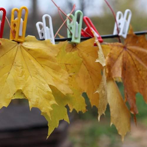 Photo #1851924