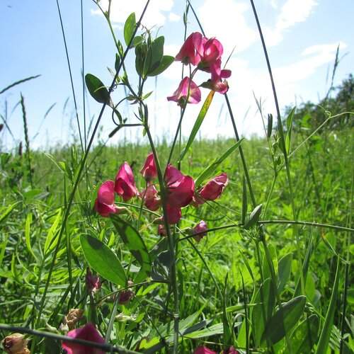 Photo #1852045