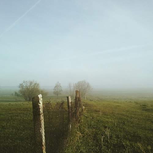 Morning