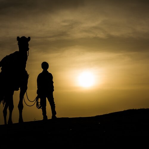 child with a camel