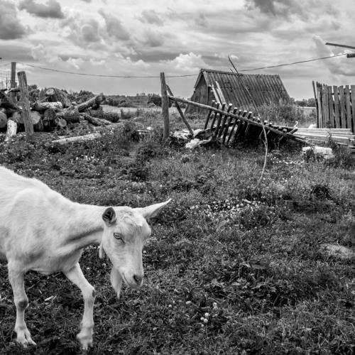 Русская деревня