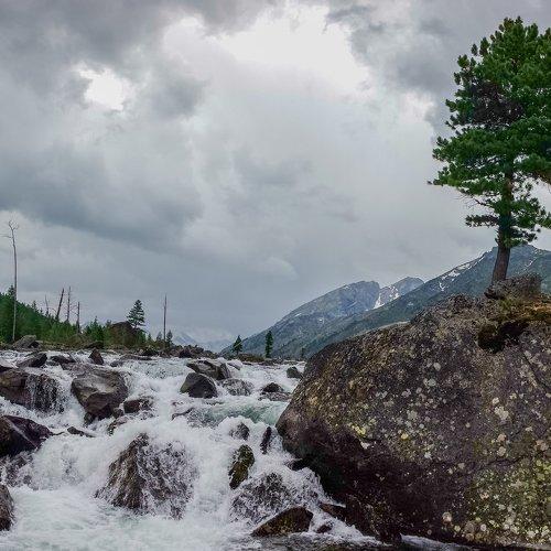 Сквозь камни