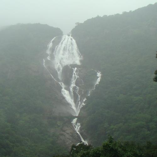 Photo #1855716