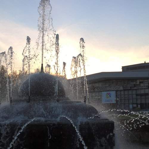 Photo #1855767