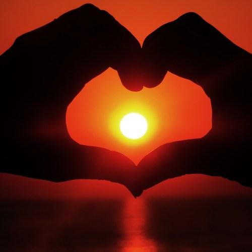 Who Loves The Sun