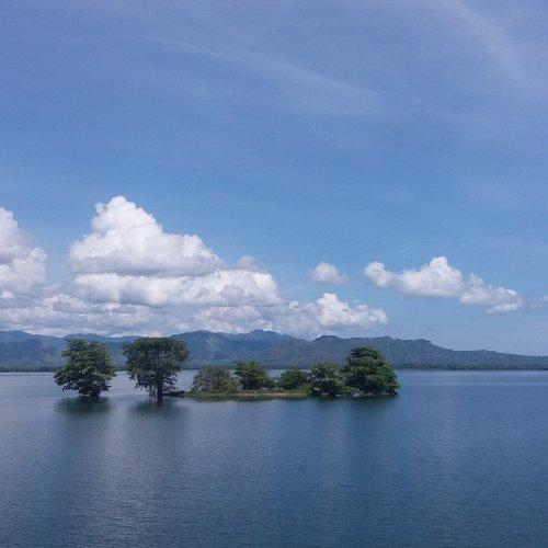 Photo #1857121