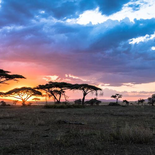 Breathtaking Serengeti.