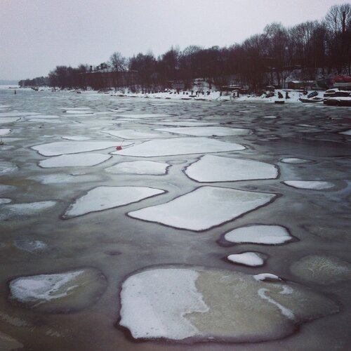 Photo #1858348