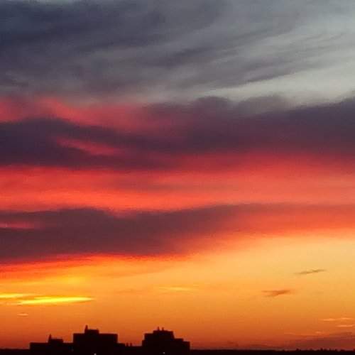 Photo #1859104