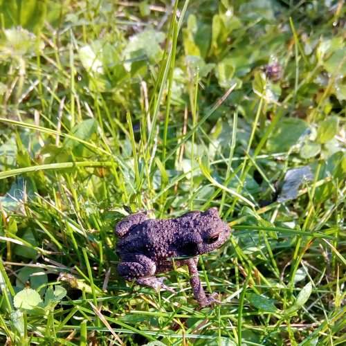 Photo #1859106