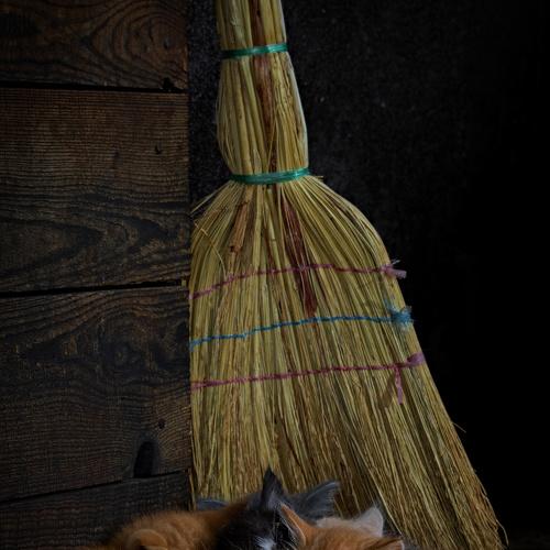 Photo #1860075