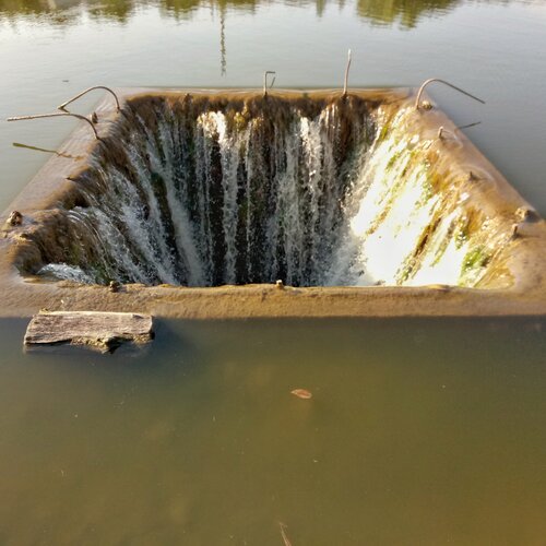 Photo #1862629