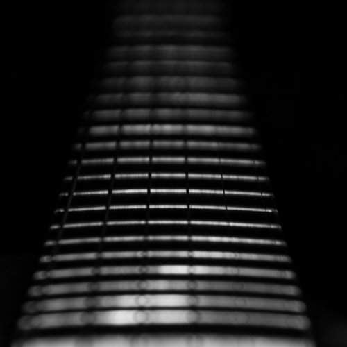 Guitar Frets