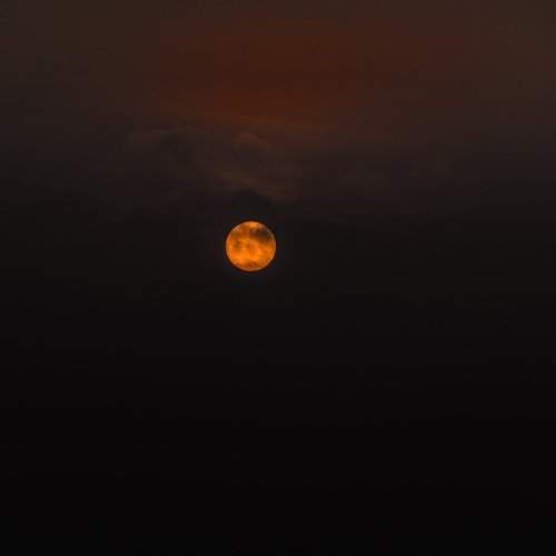 Rising Sun