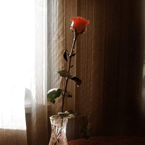 Отцовский альбом