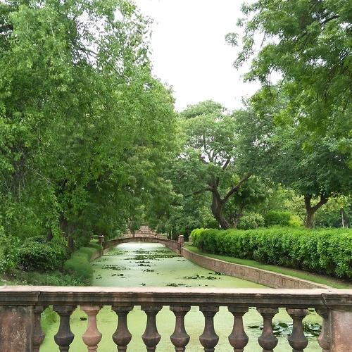 Nature