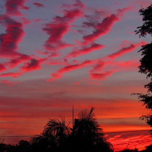 Sunset ballet