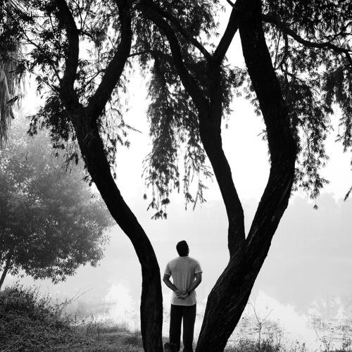 The Morning Man
