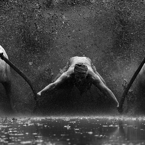 pacu jawi