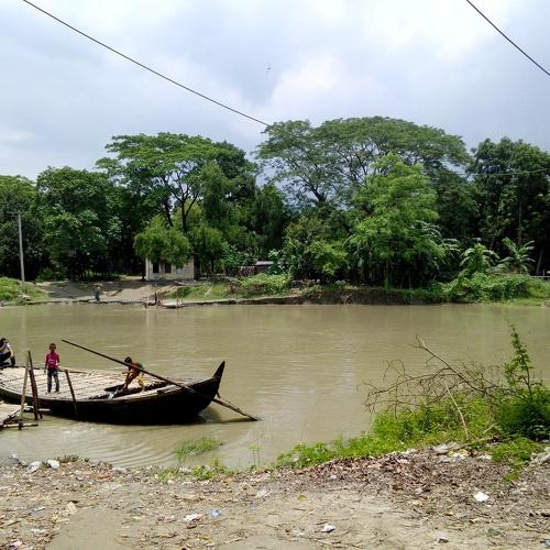 On the bank of the river