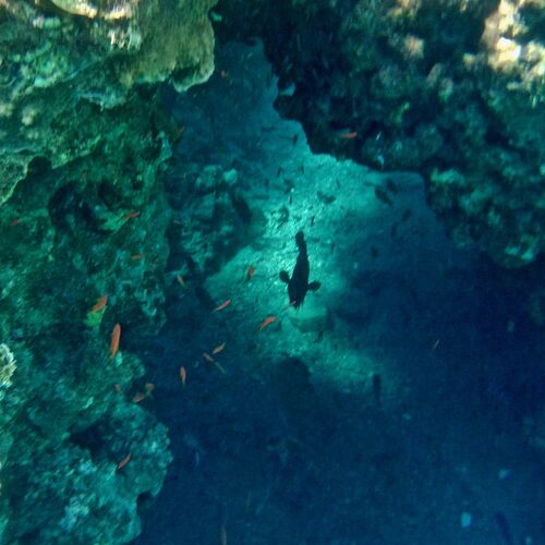 Red sea