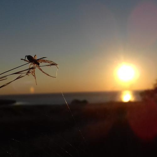 Photo #1872271