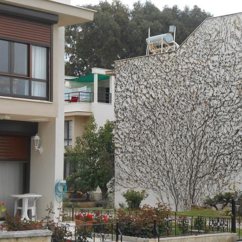 Photo #1875081