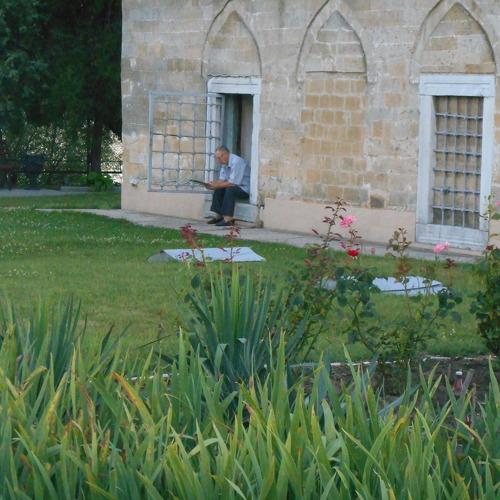 Photo #1875559