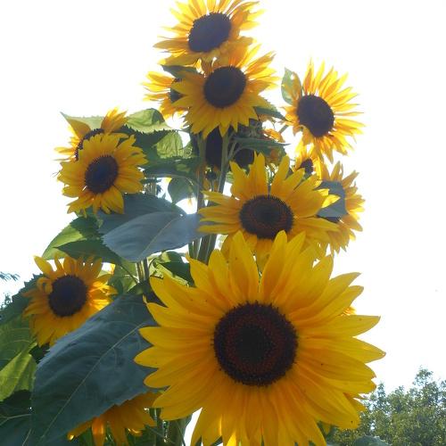 Photo #1875839