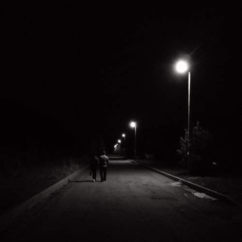 Ночной путь...(Night way...)