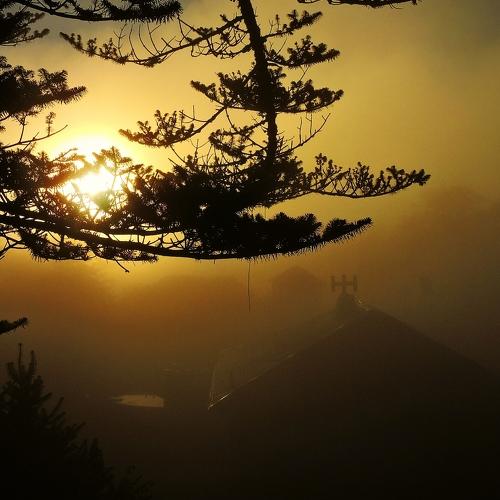 A haunting morning