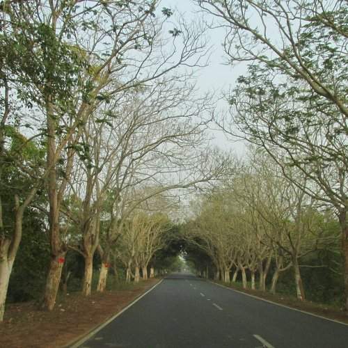 the never ending path
