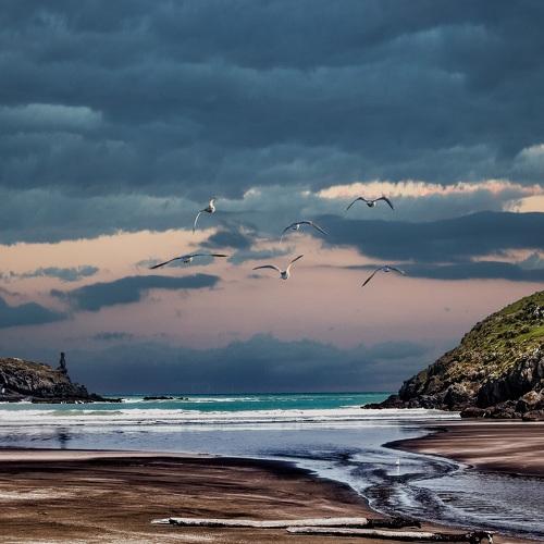 Bay