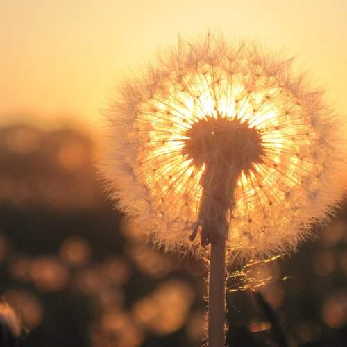 Photo #1880996