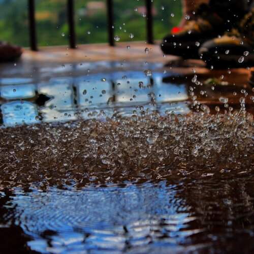SPLASSH