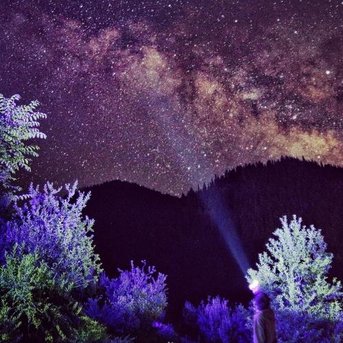 Light it up