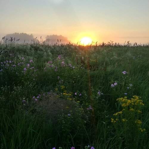 earlier sun