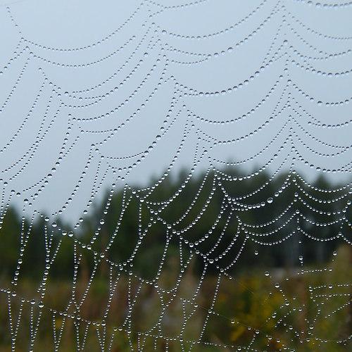 Искусное кружево