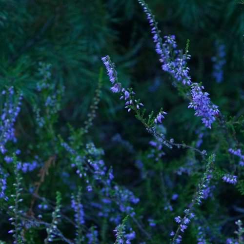 Photo #1884302
