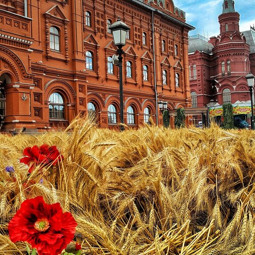 My Moscow